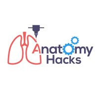 Anatomy Hacks (@anatomy_hacks) 's Twitter Profile Photo Anatomy Hacks (@anatomy_hacks) 's Twitter Profile Photo
