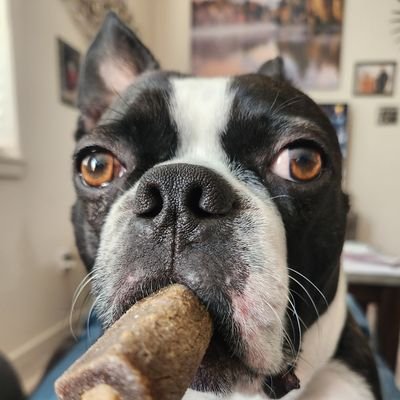 PepperGustafson's profile picture. 