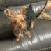 BettyBurkett (@bettyb78328) Twitter profile photo BettyBurkett (@bettyb78328) Twitter profile photo