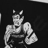 WHSBDWrestling Profile Picture