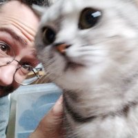 Carl Wilson (@cdwilson) 's Twitter Profile