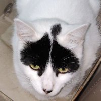 Christopher Newcombe (@cnewcombe67) 's Twitter Profile Photo Christopher Newcombe (@cnewcombe67) 's Twitter Profile Photo