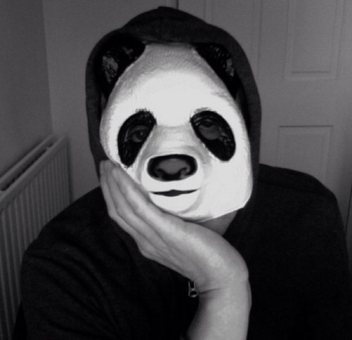 bazzledazzle's profile picture. stalk less, glisten more