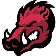 AmusedNArkansas's profile picture. 