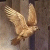 If You Want To Fly With The Eagles You Must Leave The Turkeys Behind! Exchange ideas