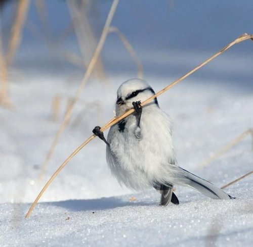 Denacria's profile picture. Hyunchul Ahn  #F1kr #F1KORGP