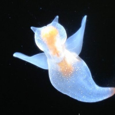 mmmm19877286's profile picture. 