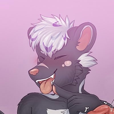 Kink account for a certain spotted skunk to indulge in his smellier side