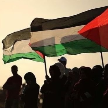 AmedlyOzgur's profile picture. 