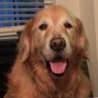 Travis (@tidalwave1) 's Twitter Profile
