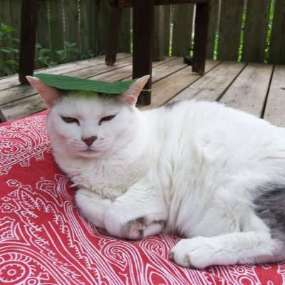 Andrew75375690's profile picture. Bikes books beer