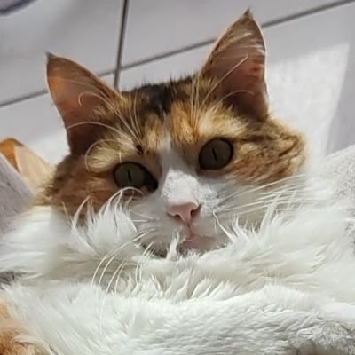 emy_biboune's profile picture. 