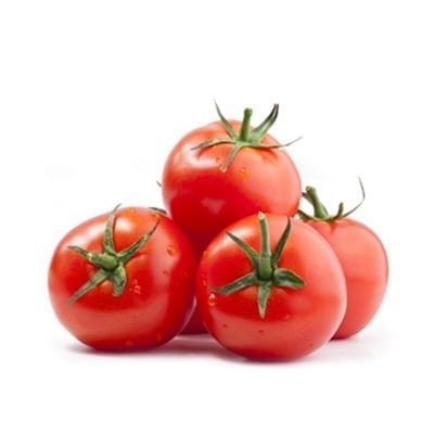 thetomatoboi Profile Picture