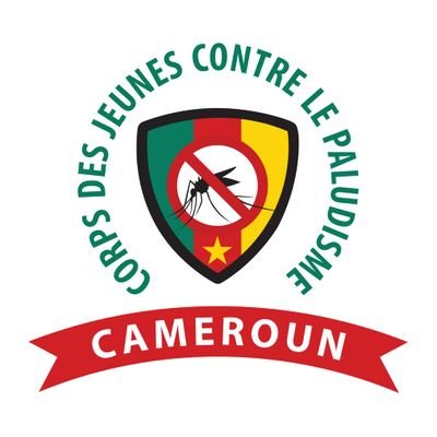 Groupe de jeunes qui participent volontairement à la lutte contre le paludisme au Cameroun sous la tutelle de l'Alliance des Dirigeants Africains (ALMA).