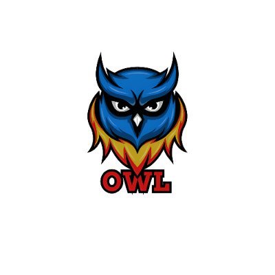 teamowlesport's profile picture. 