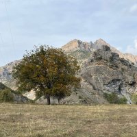 Kurdistan’s Mountains 🏔(@kurdistan__1978) 's Twitter Profile Photo