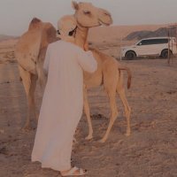 محمد عبد الله (@mahmoodal11s) 's Twitter Profile