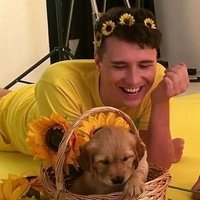 sunflower! ππ» (@sunflowerdnp_) 's Twitter Profile