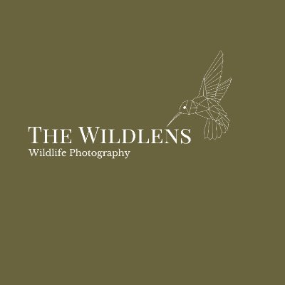 The_Wildlens Profile Picture