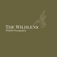 Wildlens Wildlife Photography(@The_Wildlens) 's Twitter Profile Photo