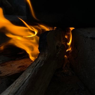 tatianajonas05's profile picture. 