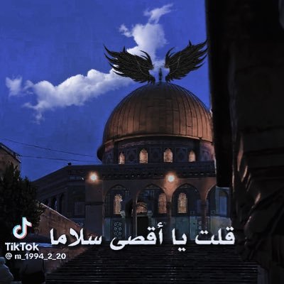 petrokwd twitter avatar