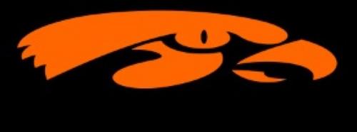 ValdostaHawks's profile picture. We are the newest SEMI-PROFESSIONAL football team located in the Valdosta area. We are apart of NDFL.