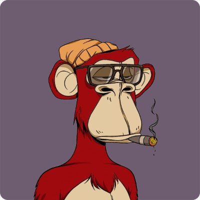 Crypto Guyさんのプロフィール画像