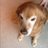 saybetty9802's profile image