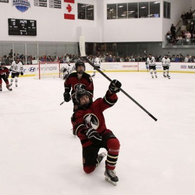 Saint Ignatius Hockey Gold LW/RW| Class of 25’ | Assistant Captain |