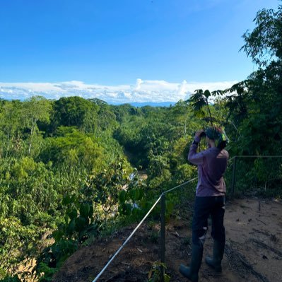 Huge love for behavioural ecology/endocrinology
Amazon Jungle | Peru