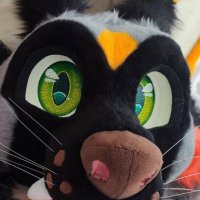 🔸Ory🔸 (@oryonfire) 's Twitter Profile Photo 🔸Ory🔸 (@oryonfire) 's Twitter Profile Photo