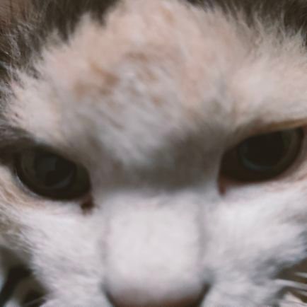 ami28733675's profile picture. 