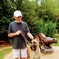 Don (@don65752942) 's Twitter Profile