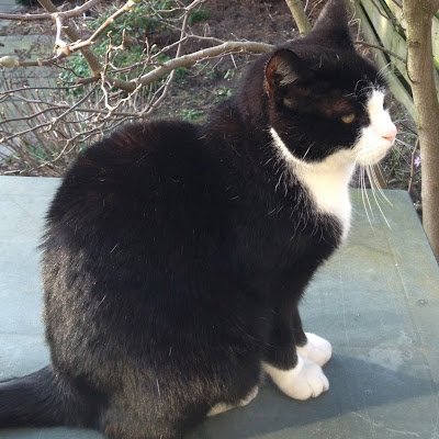 MikeStemph48674's profile picture. 