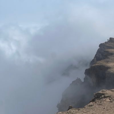 aalbisharah's profile picture. 🌫🌫🌫