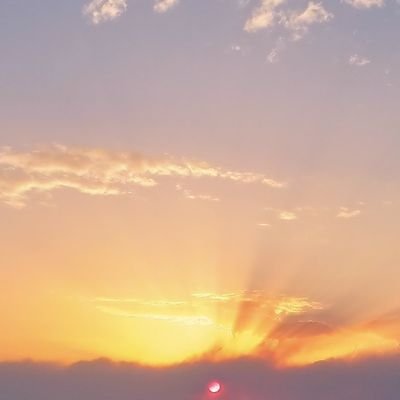 matiasmolme's profile picture. 