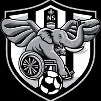 New Skills (@nskills_) 's Twitter Profile