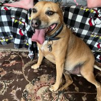 Sampson (@joanmcdaniel88) 's Twitter Profile