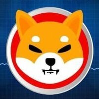 Shib Army Bulliish (@shibarmybulliis) 's Twitter Profile