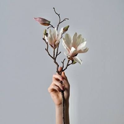 OdeofMarch's profile picture. 🤍