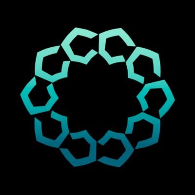 MultiChain Advisors Inc. Profile