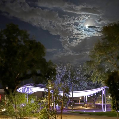 myactnews's profile picture. 