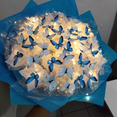 BodaVolkacio's profile picture. Proyecto para el fandom Volkacier para pasar el ratito y divertirse 🦋🇷🇺