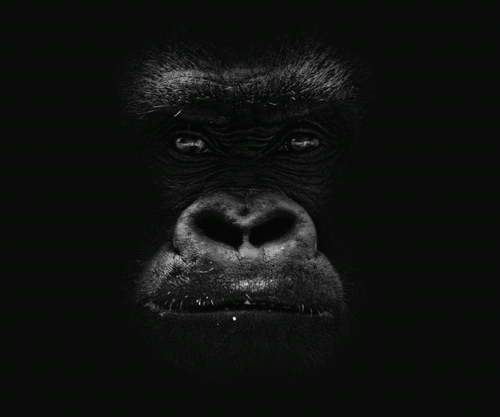 mayteborg's profile picture. 