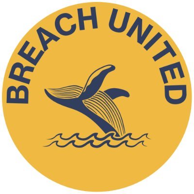 breach_united Profile Picture