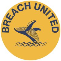 Breach United(@breach_united) 's Twitter Profile Photo