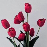 Class Mar (@class_mar7) 's Twitter Profile
