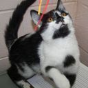 Barbara Beers - @Barbara_Beers - Twitter