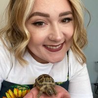 Amy (@amycater_) 's Twitter Profile Photo Amy (@amycater_) 's Twitter Profile Photo